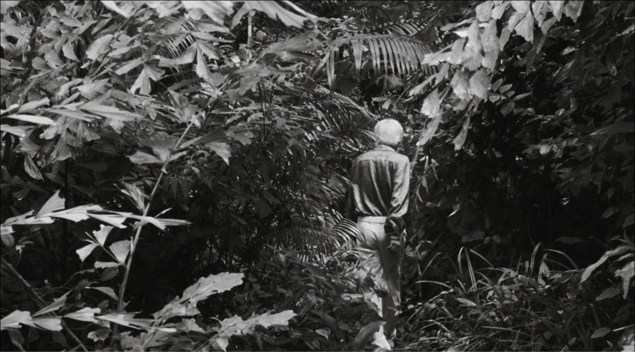 Alternativa Film Days